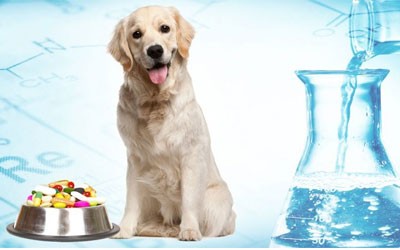 Veterinary Product Manufacturer