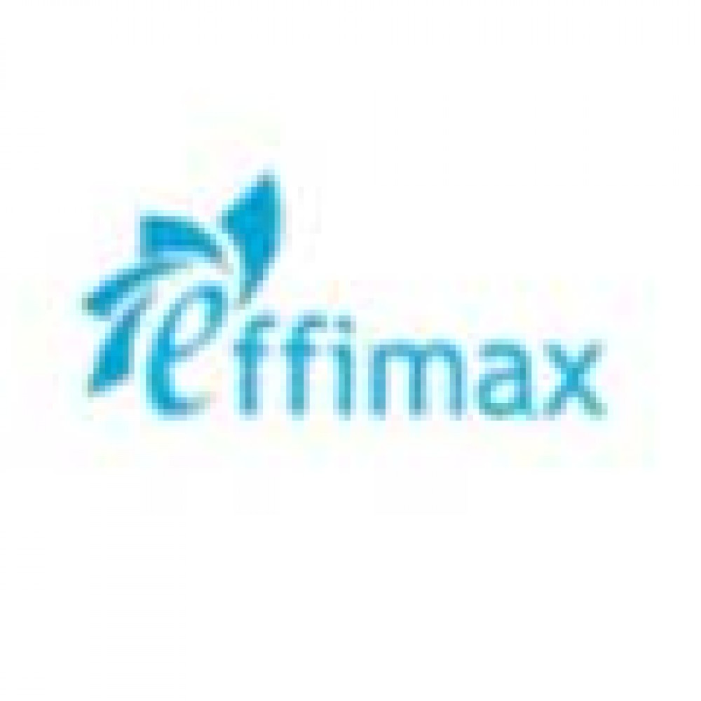 Effimax Engineers Private Limited