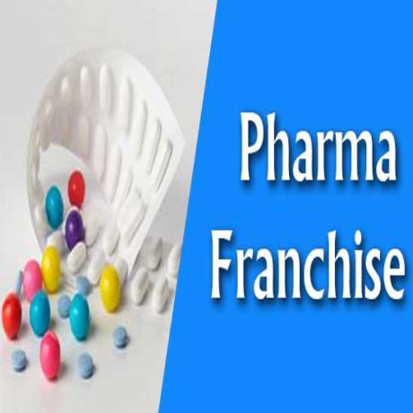 Pharma Medicine Franchise Company 1