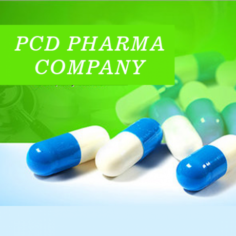 Chandigarh Based Pharma PCD Company 1