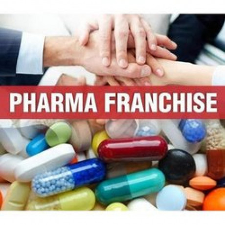 Pharma Franchise Company 1
