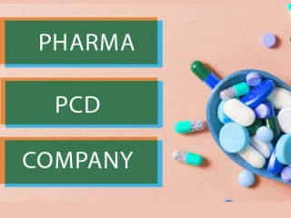 Gujarat Based PCD Pharma Company