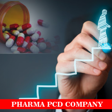 Top PCD Pharma Company in Gujarat 1