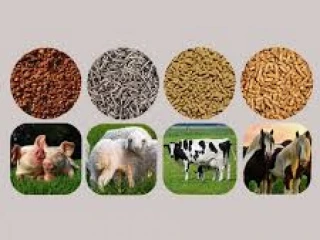 Veterinary Feed Supplements Suppliers
