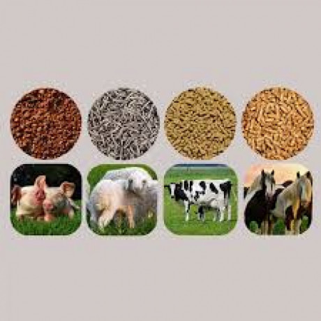 Veterinary Feed Supplements Suppliers 1