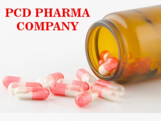Gujarat Based PCD Pharma Company