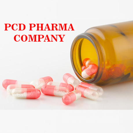Gujarat Based PCD Pharma Company 1