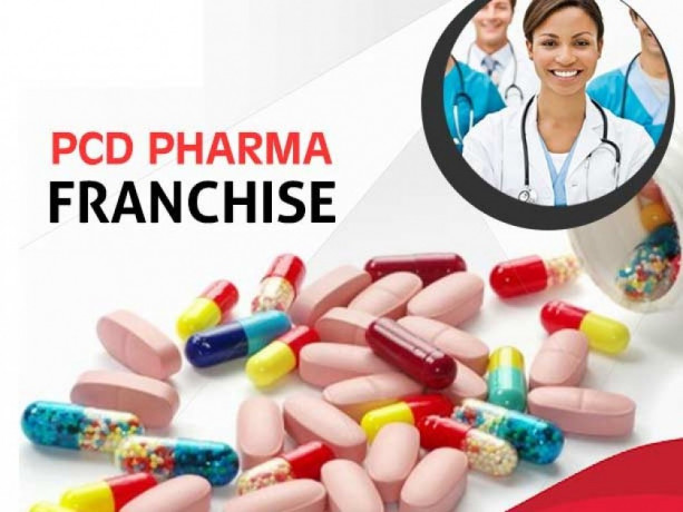 Best PCD Franchise Company 1