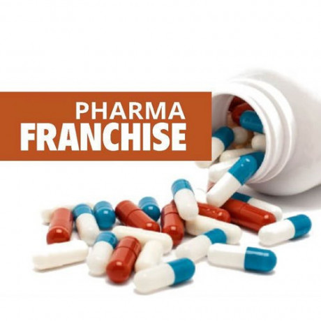 Pharma Franchise Company in Manimajra 1
