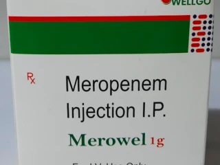 MEROPENEM INJECTION - MEROWEL