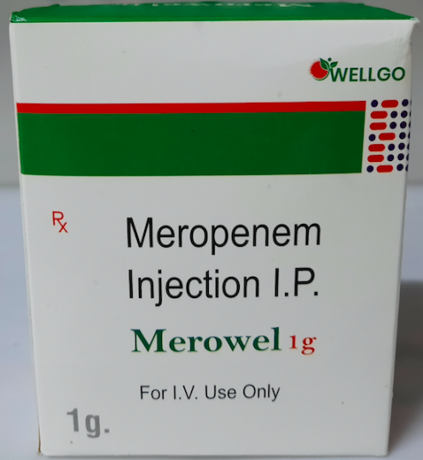 MEROPENEM INJECTION - MEROWEL 1