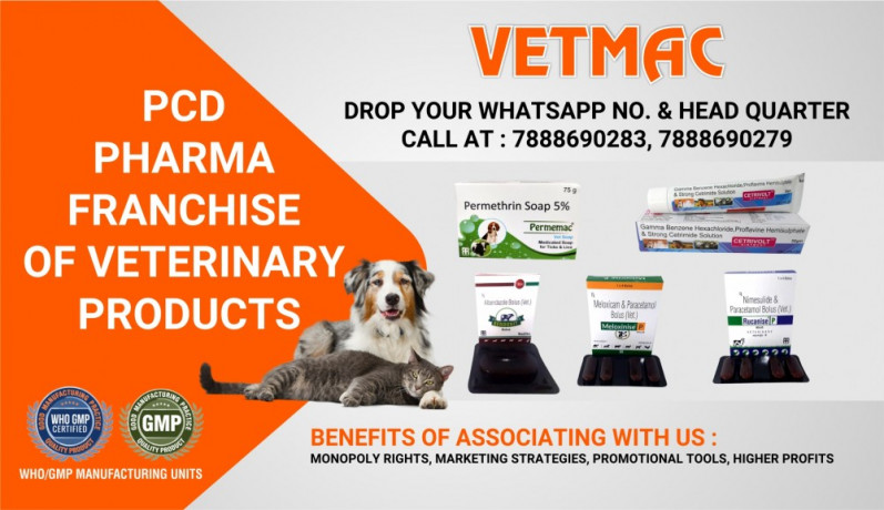 Veterinary Pharma Franchise 1