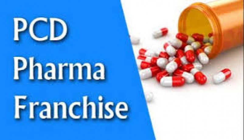 Pharmaceuticals franchise for Karnataka 1