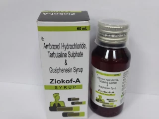 AMBROXOL HCL 15 MG + TERBUTALINE 1.25 MG + GUAIPHENESIN 50 MG + MENTHOL 2.5 MG