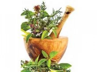 Ayurvedic Medicine Franchise Company