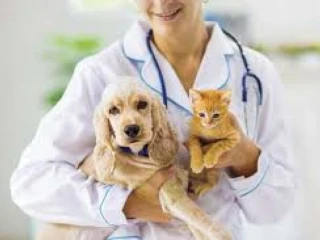 Veterinary Medicine Franchise Company