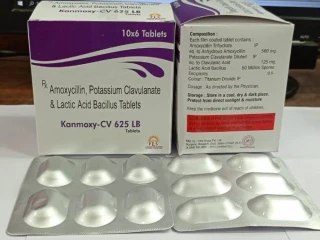 Amoxicillin potassium clavulanate lactic acid bacillus tablets