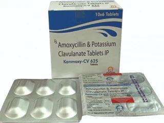 Amoxicillin and potassium clavulanate