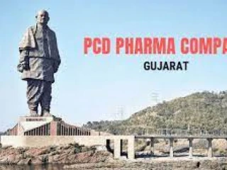 Pcd Franchise in Gujrat