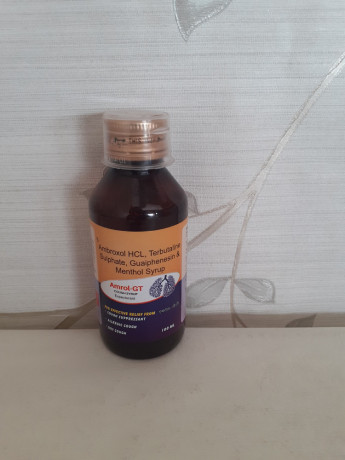 AMOXYCILLIN HCL, TERBUTALINE SULPHATE, GUAIPHENESIN & MENTHOL SYRUP 1