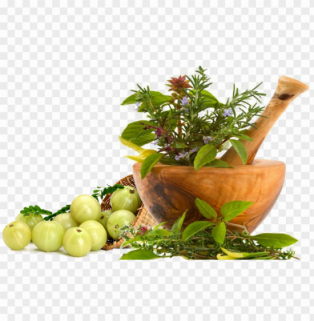 AYURVEDIC 1