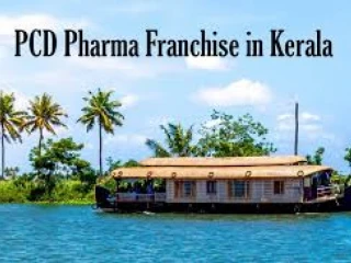 Pharma Franchise Business in Kerala