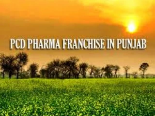 Top 10 pharma franchise company in Punjab