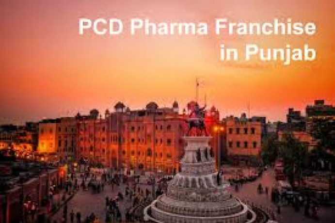 Top 10 pharma franchise company in Punjab 1