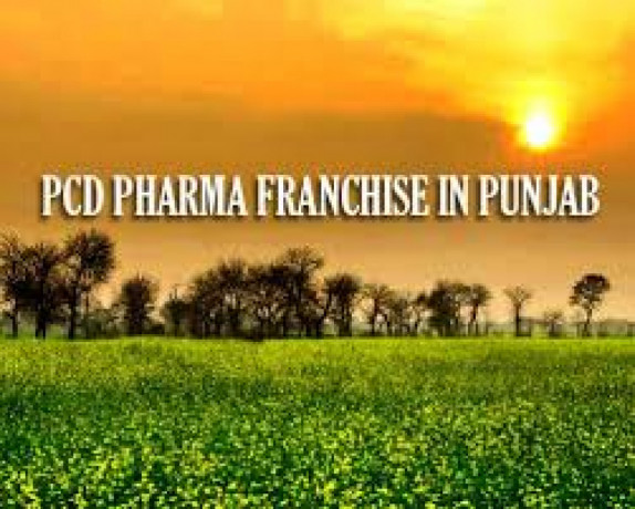 Top 10 pharma franchise company in Punjab 2