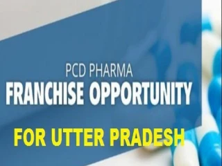 Top PCD Company in UttarPardesh
