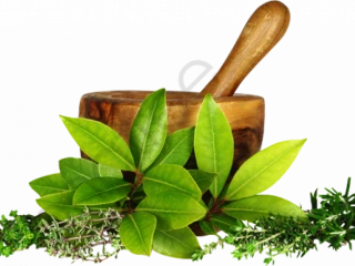 Ayurvedic Products Manufacturers in Chandigarh