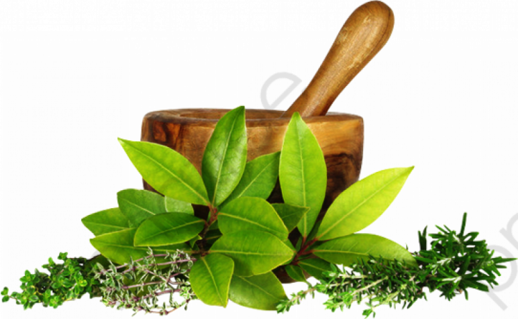 Ayurvedic Products Manufacturers in Chandigarh 1