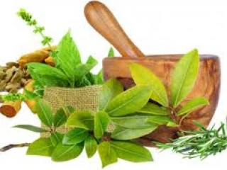 Ayurvedic PCD Pharma Franchise Company