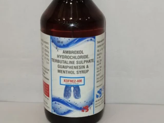 Ambroxol Guaiphenesin Terbutaline Menthol syrup