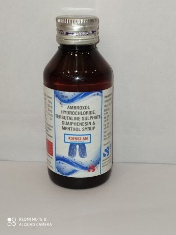 Ambroxol Guaiphenesin Terbutaline Menthol syrup 1