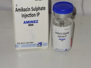 AMIKACIN 500MG