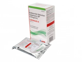 BUDESONIDE 0.5MG NEBULISER SUSPENSION