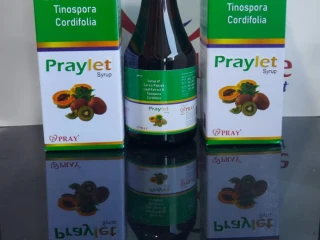 Papayaa leaf extract+Giloy+Kivi+neem+kalmegh+bhumiamla+amla+tulsi+nirgundi+chiraita