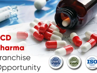 Best PCD Pharma Franchise Company in Ambala City