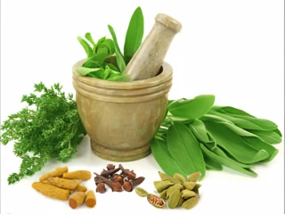 Ayurvedic Third Party Manufacturers in Ambala