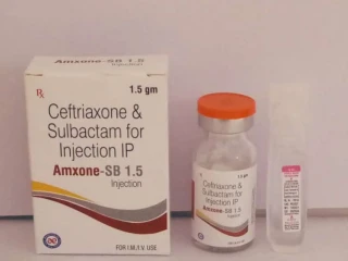 Ceftriaxone Sodium Sterile 1000mg + SULBACTAM 500