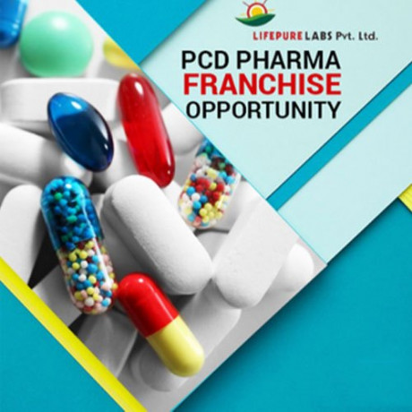 PCD PHARMA FRANCHISE FOR CHAMOLI 1