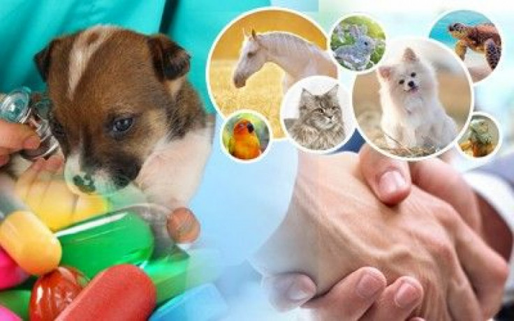 Veterinary Pharma Franchise Company 1