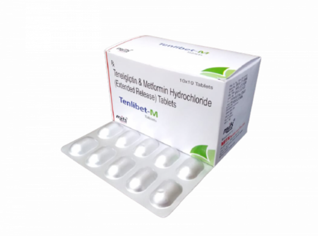 Teneligliptin 20 mg & Metformin HCl 500 mg 1