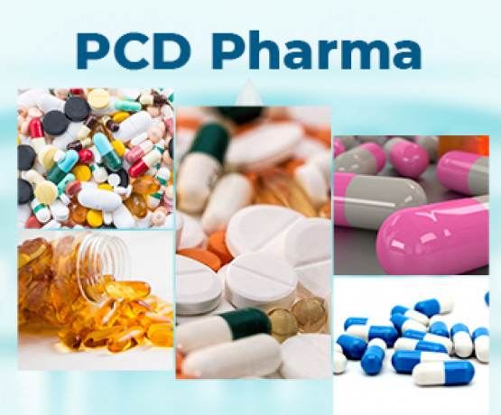 Top PCD Franchise Company 1