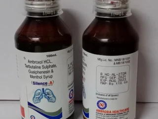 AMBROXOL HCL 15 mg + TERBUTALINE SULPHATE 1.25 mg + GUAIPHENSIN 50 mg + MENTHOL 2.5 mg