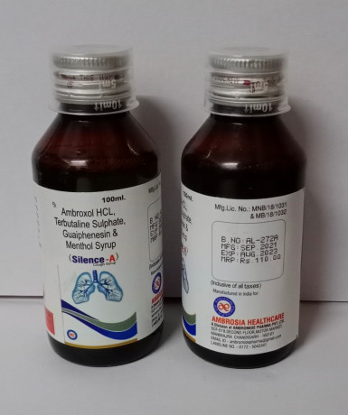 AMBROXOL HCL 15 mg + TERBUTALINE SULPHATE 1.25 mg + GUAIPHENSIN 50 mg + MENTHOL 2.5 mg 1