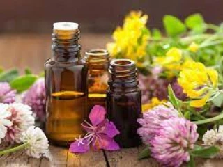 Ayurvedic Pain Oil Manufacturing Company