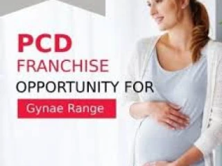 GYNAE PRODUCTS FRANCHISE COMPANY IN ANDRA PRADESH