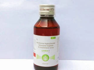 Terbutaline sulphate 1.25 mg + Bromhexine Hcl 4 mg +Guaiphenesin 50mg expectorant